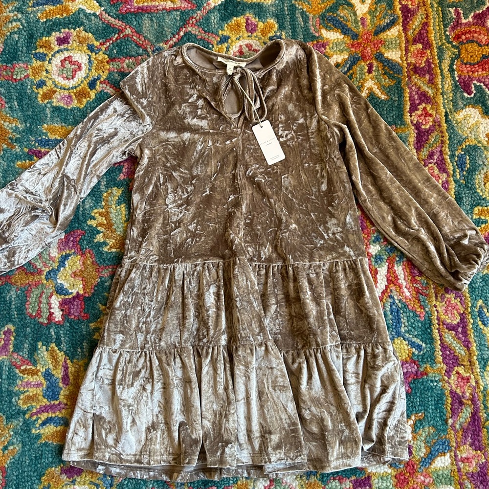 Elegant Blush Crushed Velvet Puff Sleeve Dress